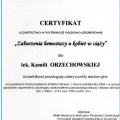 Powiększ obraz: certificate 9