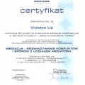 Powiększ obraz: certificate 2