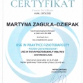 Powiększ obraz: certificate 21