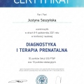 Powiększ obraz: certificate 2