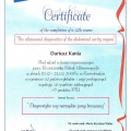 Powiększ obraz: certificate 20