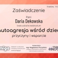 Powiększ obraz: certificate 5
