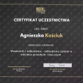 Powiększ obraz: certificate 1