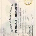 Powiększ obraz: certificate 3