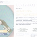 Powiększ obraz: certificate 10