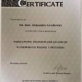 Powiększ obraz: certificate 3
