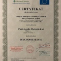 Powiększ obraz: certificate 1