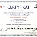 Powiększ obraz: certificate 4