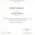 Powiększ obraz: certificate 24