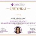Powiększ obraz: certificate 13