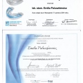 Powiększ obraz: certificate 17