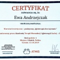 Powiększ obraz: certificate 10