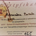 Powiększ obraz: certificate 3