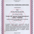 Powiększ obraz: certificate 3