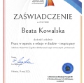 Powiększ obraz: certificate 25