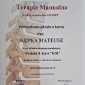 Powiększ obraz: certificate 11