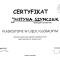 Powiększ obraz: certificate 13