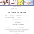 Powiększ obraz: certificate 142