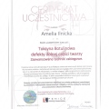 Powiększ obraz: certificate 8