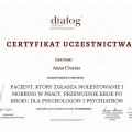 Powiększ obraz: certificate 29