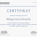 Powiększ obraz: certificate 3