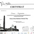 Powiększ obraz: certificate 4