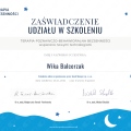 Powiększ obraz: certificate 9