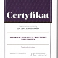 Powiększ obraz: certificate 33