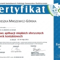 Powiększ obraz: certificate 1