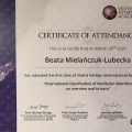 Powiększ obraz: certificate 5