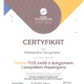 Powiększ obraz: certificate 29