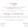 Powiększ obraz: certificate 9