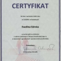 Powiększ obraz: certificate 6