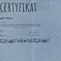 Powiększ obraz: certificate 4