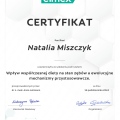 Powiększ obraz: certificate 2