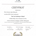 Powiększ obraz: certificate 9