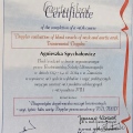 Powiększ obraz: certificate 3