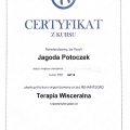 Powiększ obraz: certificate 6