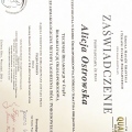 Powiększ obraz: certificate 9