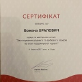 Powiększ obraz: certificate 2