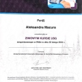 Powiększ obraz: certificate 2