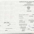 Powiększ obraz: certificate 2