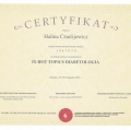 Powiększ obraz: certificate 6