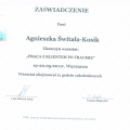 Powiększ obraz: certificate 7