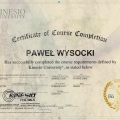 Powiększ obraz: certificate 3