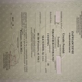 Powiększ obraz: certificate 20