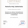 Powiększ obraz: certificate 3