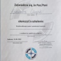 Powiększ obraz: certificate 8