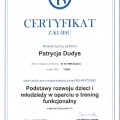 Powiększ obraz: certificate 9