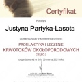 Powiększ obraz: certificate 28